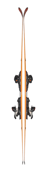 Thunderbird R15 + Tpx12 (unisex)2025 side view - Vista 3